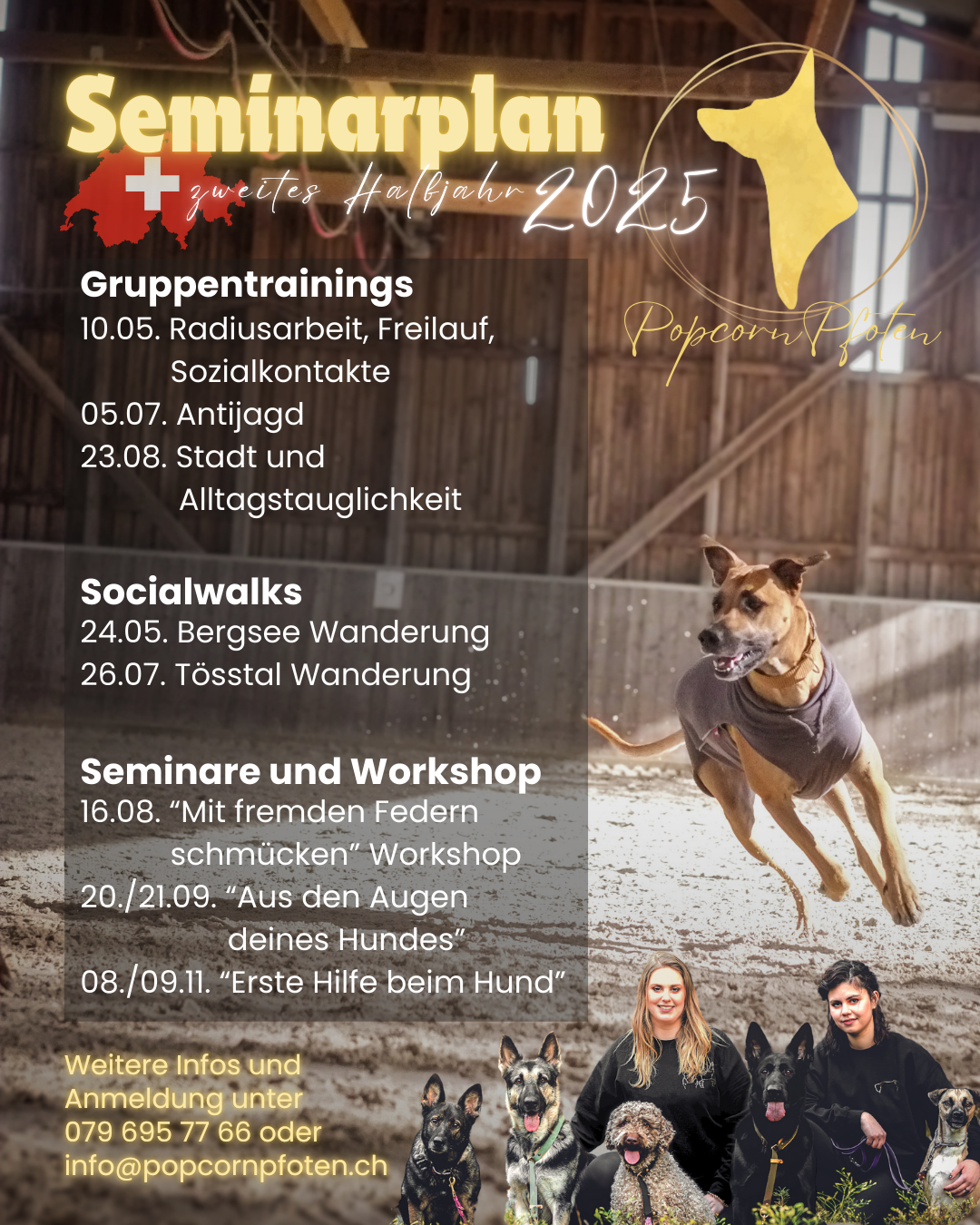 05.07. Gruppentraining 110.05. Gruppentraining Radiusarbeit, Freilauf, Sozialkontakte 224.05. Socialwalk Bergsee 22607. Socialwalk mit Sommervibes (Wasser macht lustig) (Flussbettwanderung) 116.08 (1)