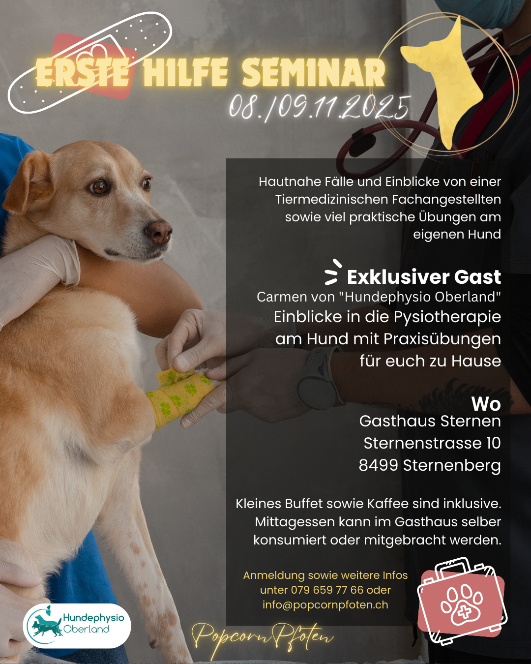 Erste hilfe seminar